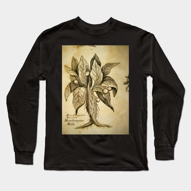 Mandragora Antique Engraving Long Sleeve T-Shirt by chilangopride